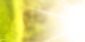 Neler Madde Değildir