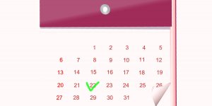 Türklerin Kullandığı Takvimler