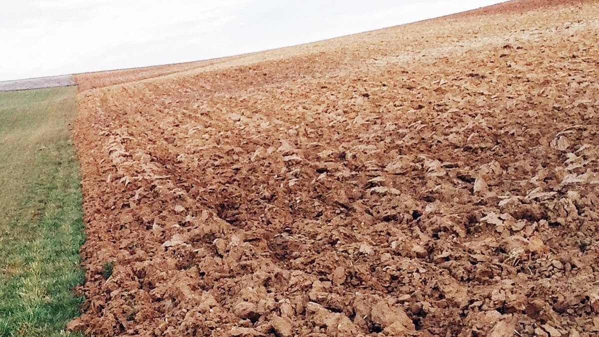 Toprak Çeşitleri Toprak Nedir