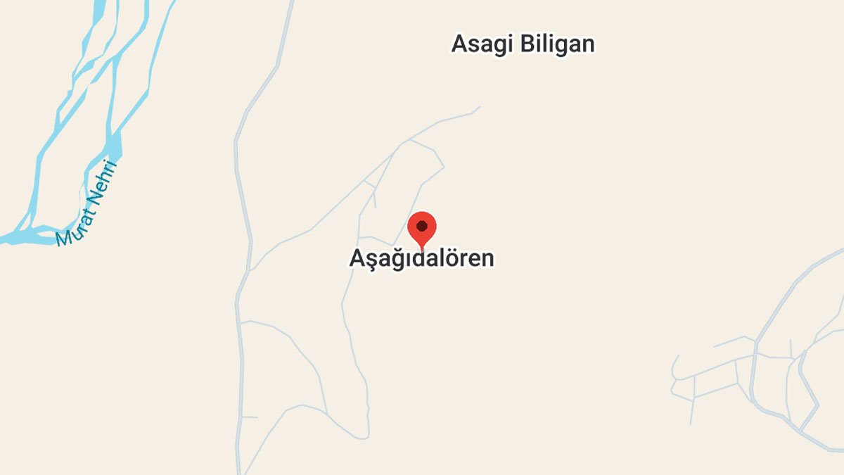 Aşağıdalören Köyü (Bilgana Jêrîn) Merkez/Diyadin