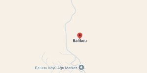 Balıksu Köyü, Ağrı