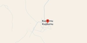 Kuşburnu Köyü, Diyadin
