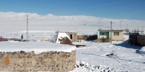 Omuzbaşı Köyü, Diyadin