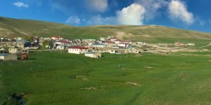 Rahmankulu Köyü, Diyadin