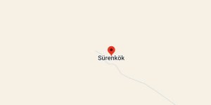 Sürenkök Köyü, Diyadin