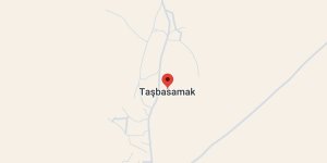 Taşbasamak Köyü, Diyadin