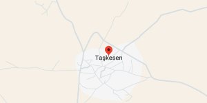 Taşkesen Köyü, Diyadin