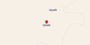 Uysallı Köyü, Diyadin