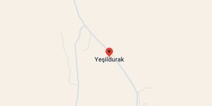 Yeşildurak Köyü, Diyadin
