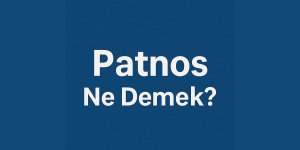 Patnos Ne Demek