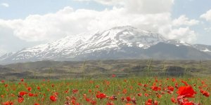 Patnos'un Neyi Meşhur?