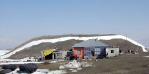 Yığnıtepe Köyü Höyüğü, Ağrı