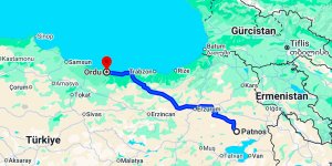 Patnos Ordu Arası Kaç Km?