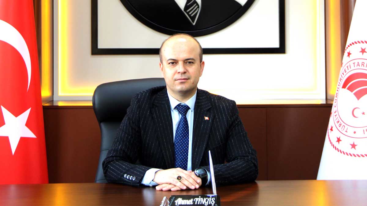 Ahmet Tingiş