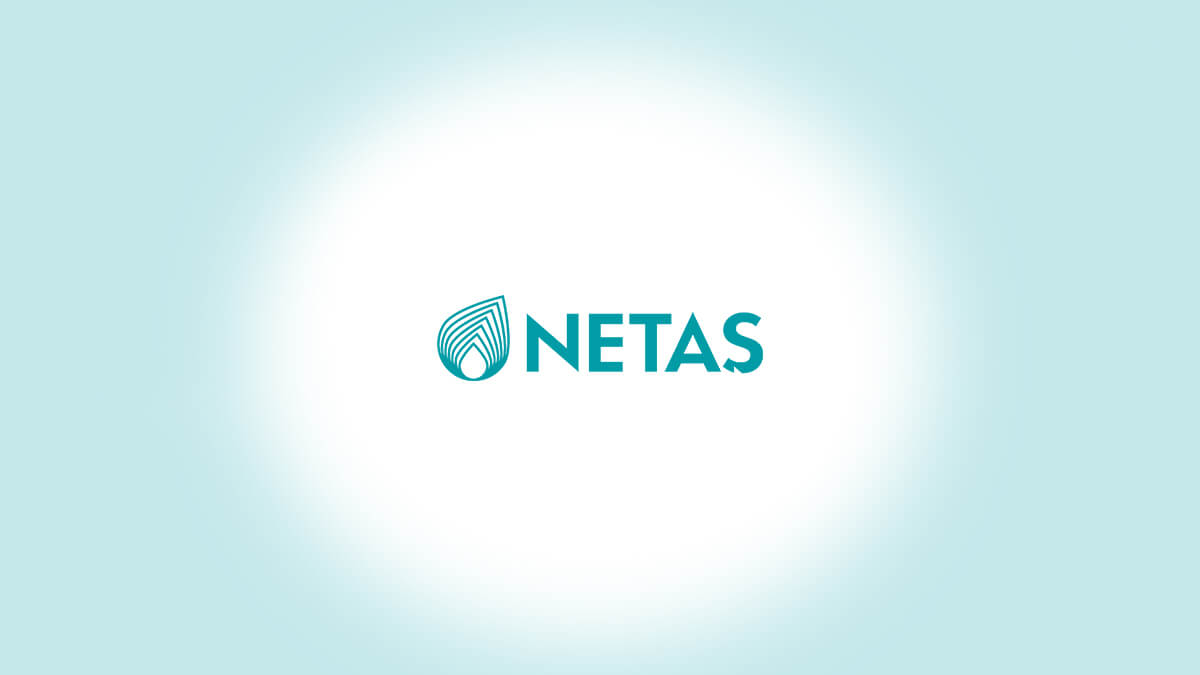 Netaş