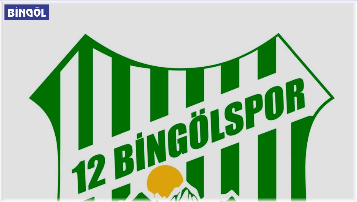 12 Bingölspor'dan TFF'ye tepki