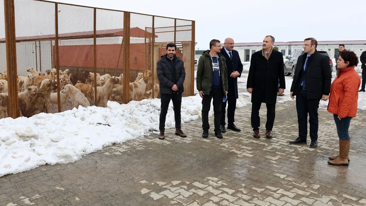 Ağrı’daki Hayvan Bakımevi’nde Neler Yapıldı? Vali Bozkurt Yerinde İnceledi