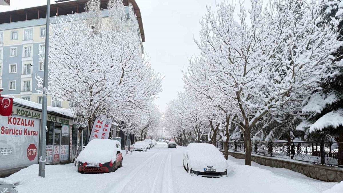Patnos’ta ilçe merkezine 40 santimetre kar yağdı