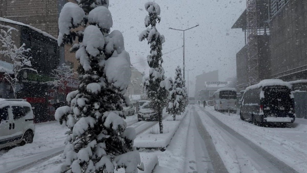 Bahar Bekleniyordu: Patnos Bir Gecede 40 Santimetre Karla Beyaza Büründü