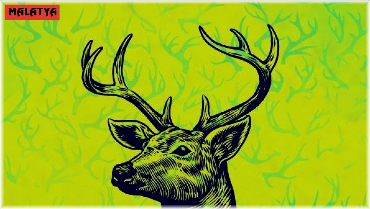 14. Uluslararası Kısa Film Festivali dolu dolu geçecek