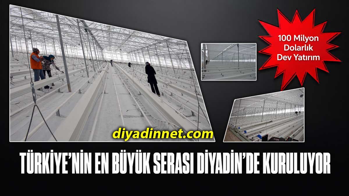 Türkiye'nin En Büyük Serası Diyadin'de Kuruluyor: 100 Milyon Dolarlık Dev Yatırım