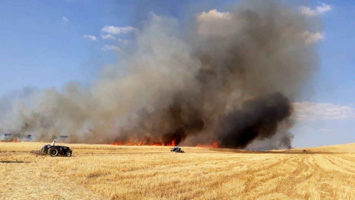 15 dönüm arazide ekili arpa kül oldu