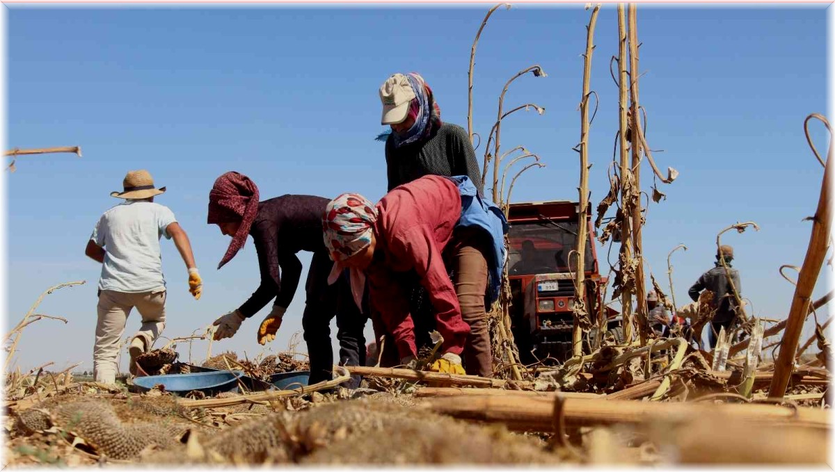15 Ekim Dünya Kadın Çiftçiler Günü