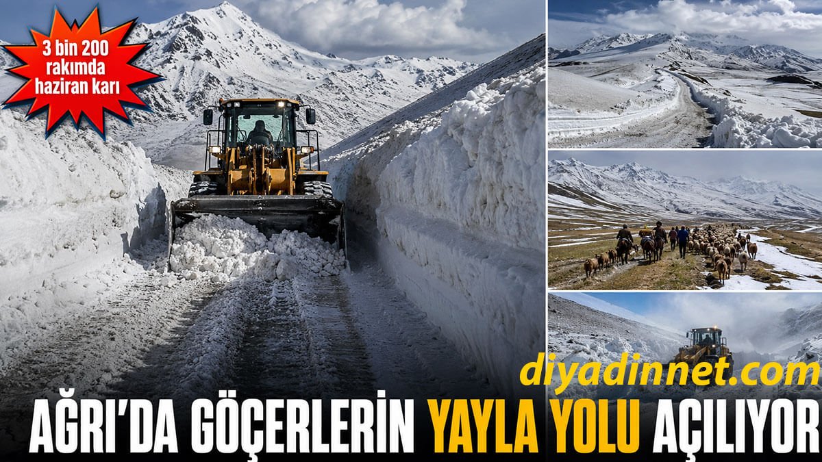 Ağrı Taşlıçay'da 3 bin 200 rakımlı karla kaplı yayla yolları göçerler için açılıylor