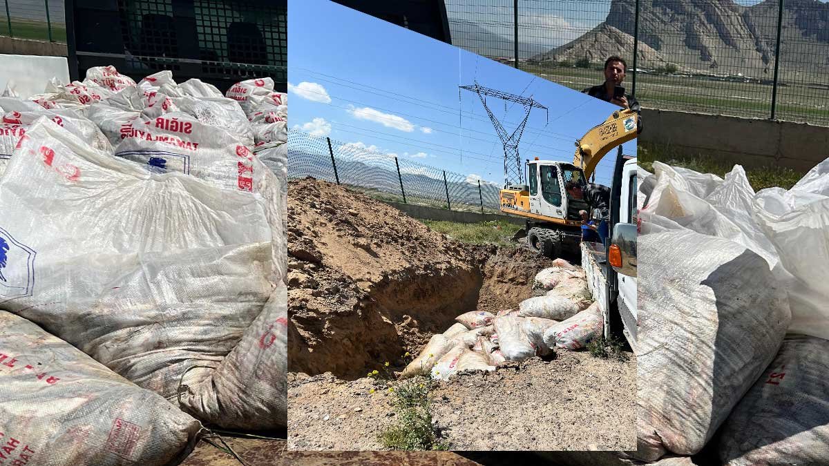 Ağrı'da Van'dan Doğubayazıt'a Taşınan 2 Ton Kaçak İnci Kefali Ele Geçirildi