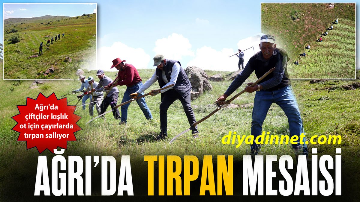Ağrı'da Çiftçiler Kışlık Ot için Engebeli Çayırlarda Tırpan Sallıyor
