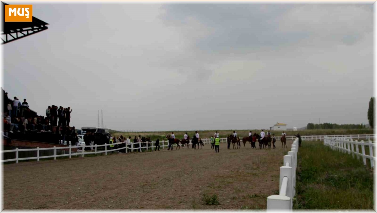19 Mayıs etkinliğinde 'at yarışı' heyecanı