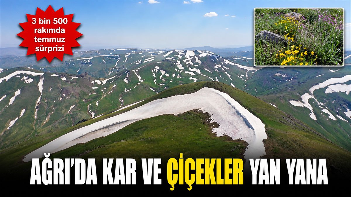 Ağrı'da Karların Erimediği Dağlarda Büyüleyici Manzara: Rengârenk Çiçekler Doğa Tutkunlarını Bekliyor