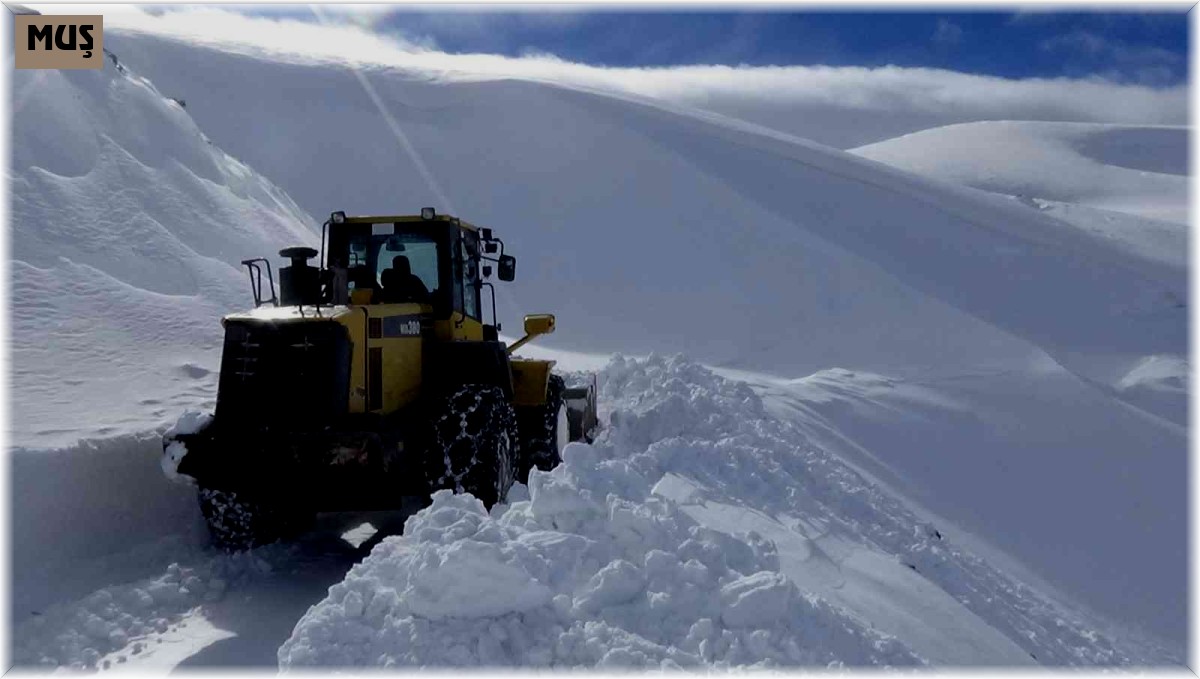 2 bin 500 rakımlı dağ köylerinde 5 metre karla mücadele sürüyor