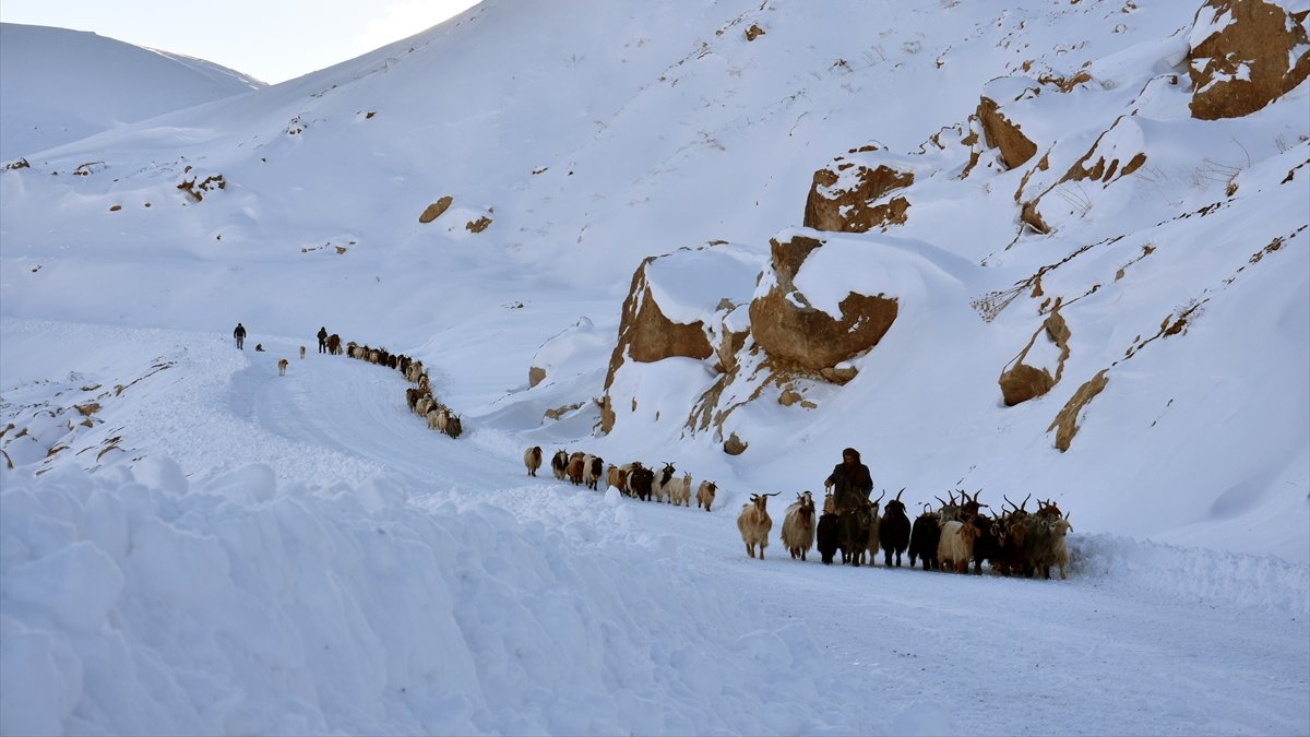 2 bin 800 rakımlı bölgede mahsur kalan çoban ve sürüsü ekiplerce köye ulaştırıldı