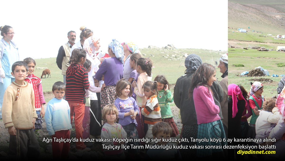 2 Çocuk Isırıldı, 1 Sığır Kuduz Çıktı: Taşlıçay'da 6 Aylık Karantina Başladı