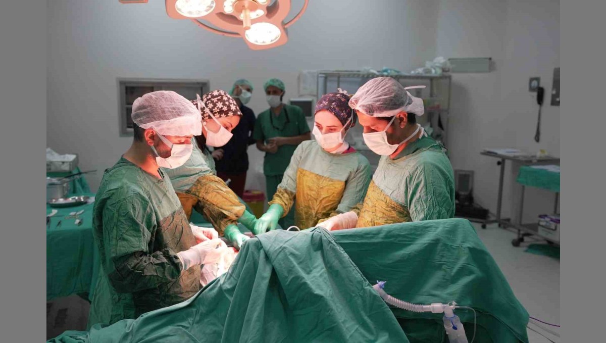 2 kilogramı aşan dev tümör başarıyla çıkarıldı