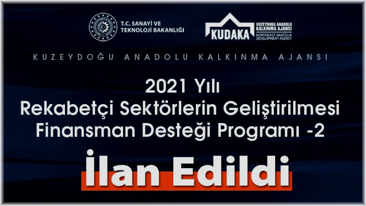 2021 yılı rekabetçi sektörlerin geliştirilmesi finansman desteği programı ilan edildi