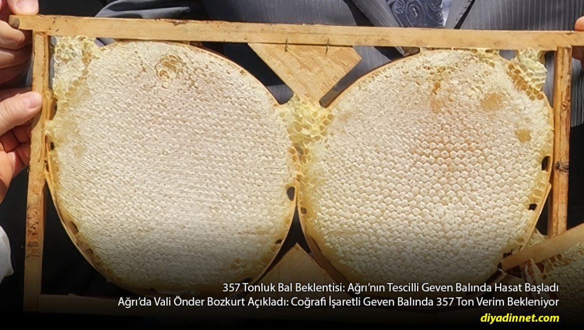 Ağrı'da Bal Bereketi: Tescilli Geven Balında 357 Tonluk Dev Hasat Beklentisi