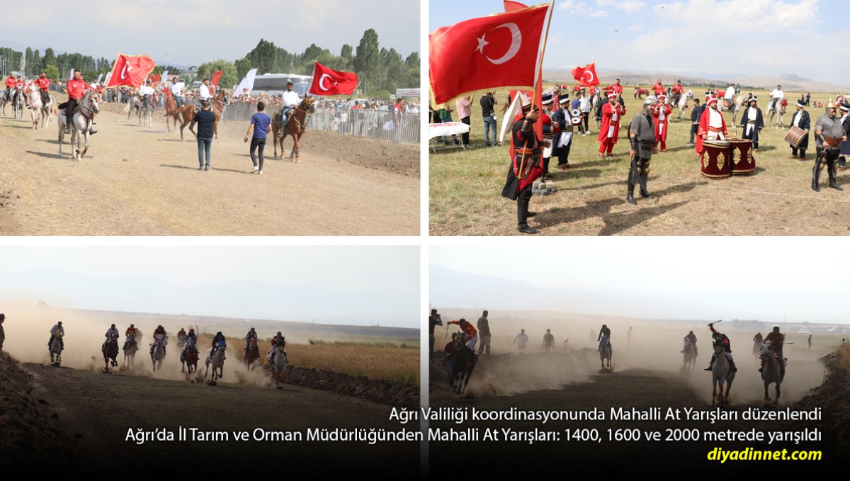 Ağrı'da 3 Ayrı Yarışta Büyük Heyecan: Atçılık Geleneği Yeniden Canlandı
