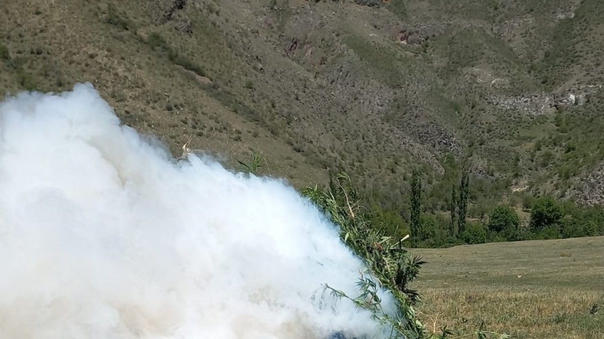 25 bin 600 kök kenevir imha edildi