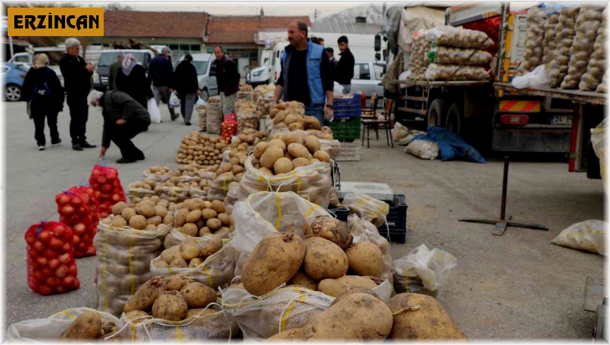 26 ilde 'patates' karantinası uygulanıyor
