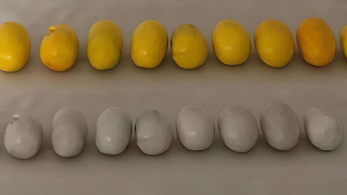 260 Gram Metamfetamin Gürbulak Sınır Kapısı'nda Ele Geçirildi