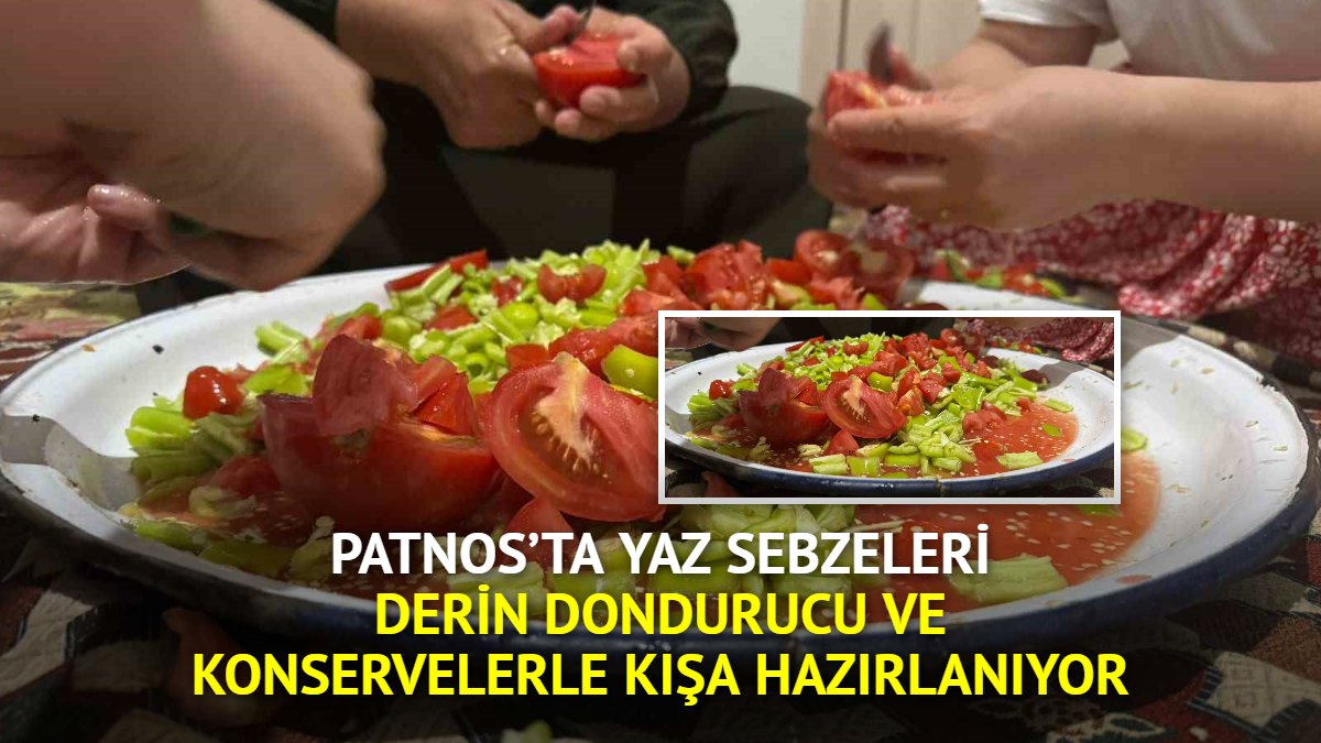 Patnos'ta yaz sebzeleri derin dondurucu ve konservelerle kışa hazırlanıyor