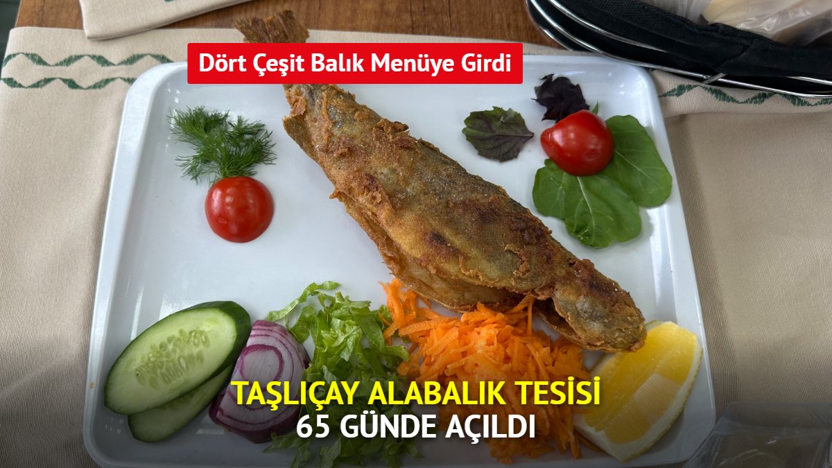 Taşlıçay'da 65 Günde Kurulan Alabalık Tesisinde Balık Burger Hazırlığı