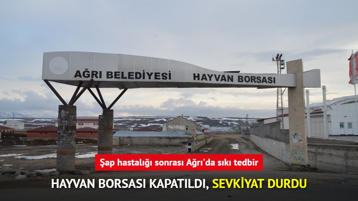 Ağrı'da şap hastalığı tedbirleri: Hayvan borsası kapatıldı, hayvan hareketleri durduruldu