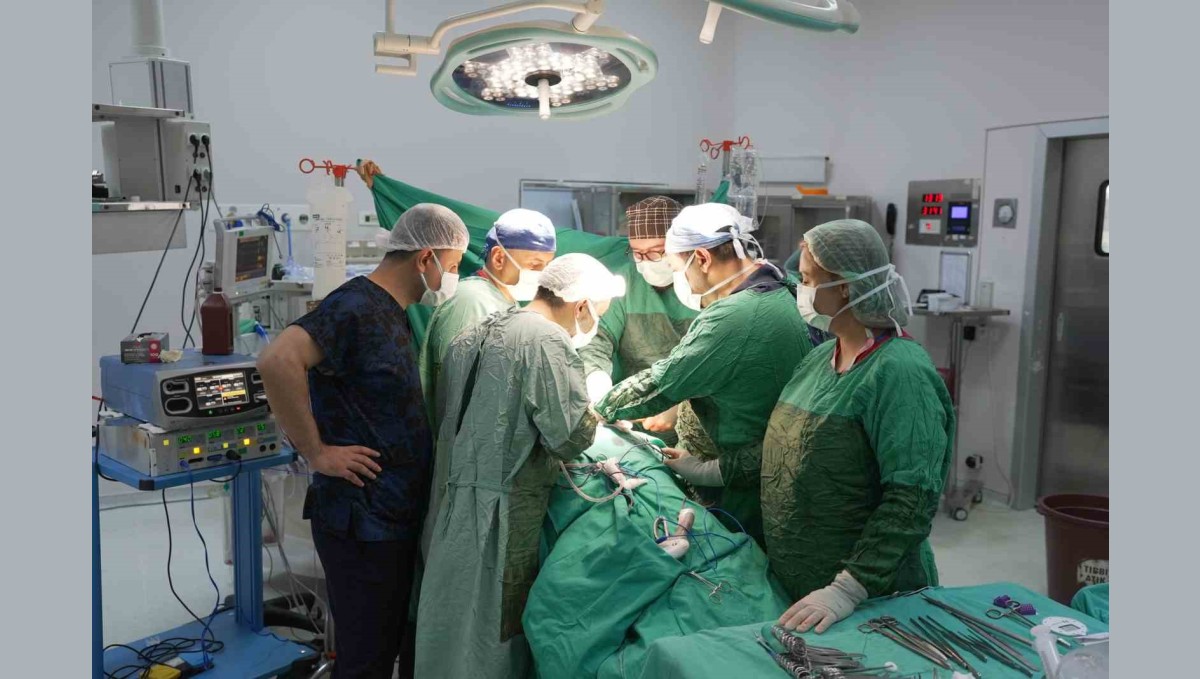 3 santimetrelik böbrek tümörü parsiyel nefrektomi ile çıkartıldı