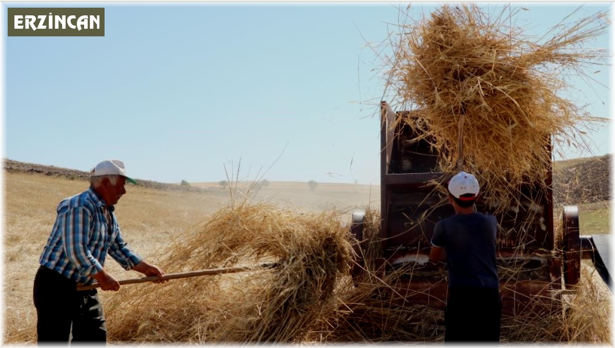 36 derecede kışlık yem mücadelesi