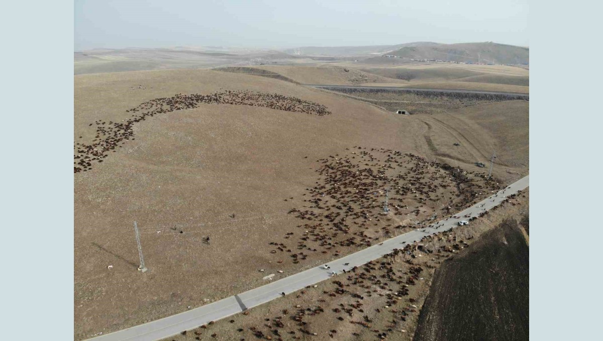 Kars'ta göçerlerin zoru yolculuğu başladı