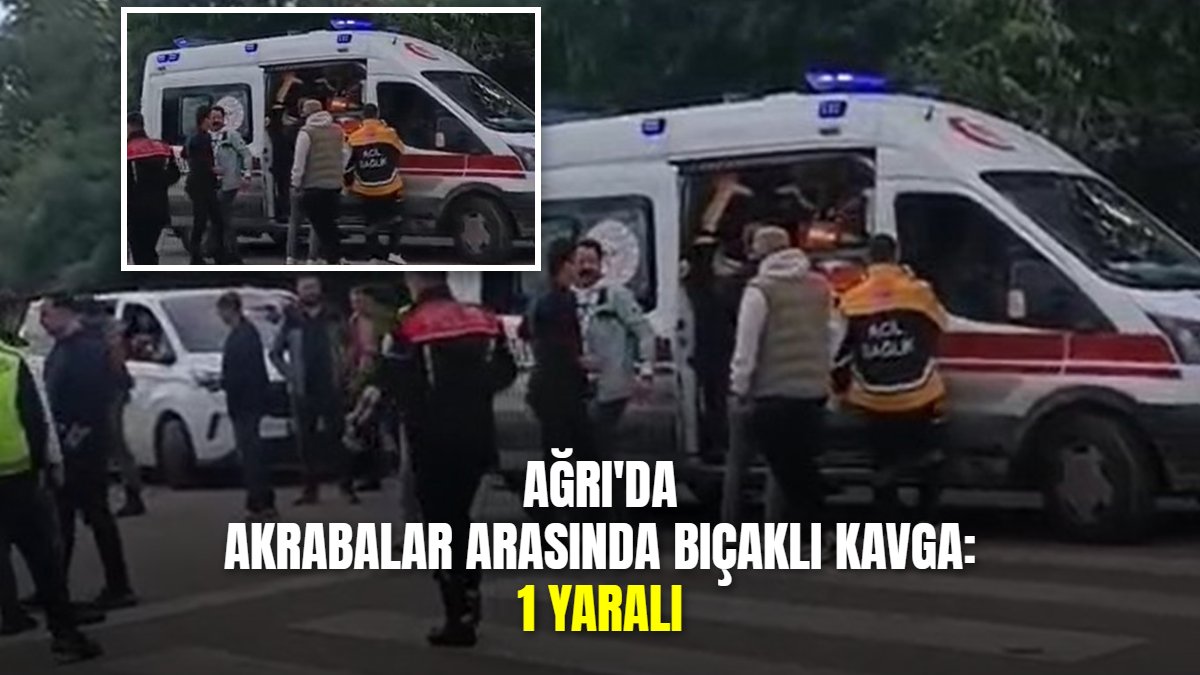 Ağrı'da akrabalar arasındaki eski husumet bıçaklı kavgaya dönüştü