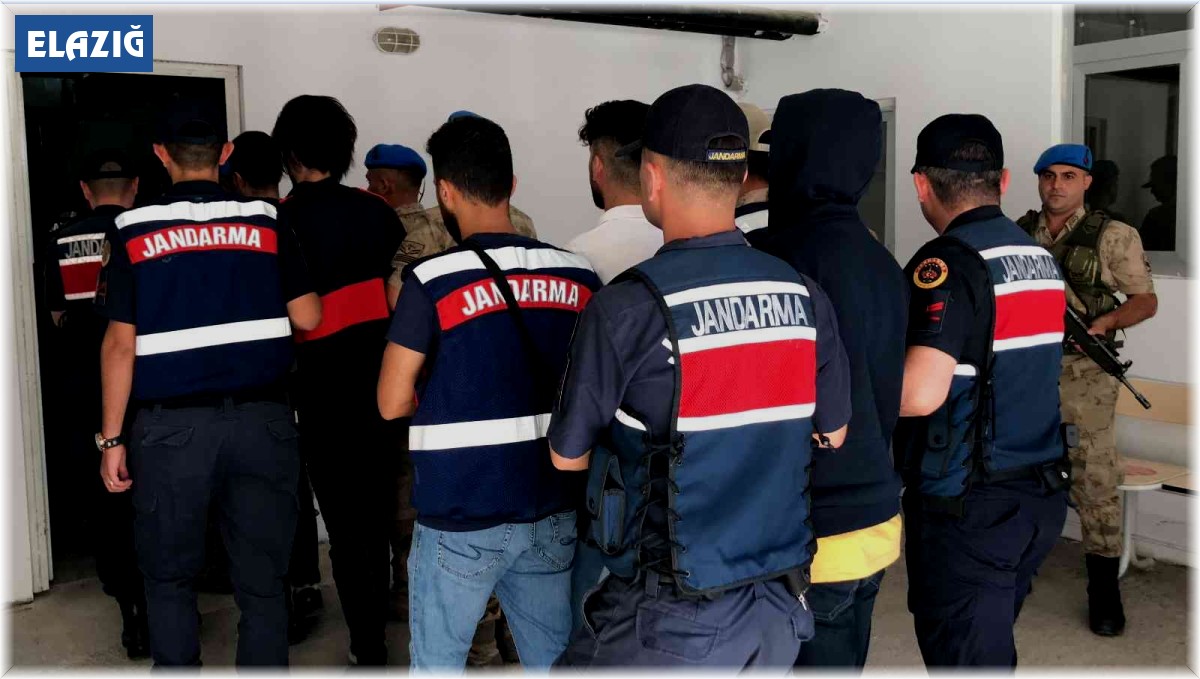 4 ilde 260 vatandaşı dolandıran suç örgütüne operasyon: 28 tutuklama